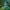 Bio Zoe Hover Bg